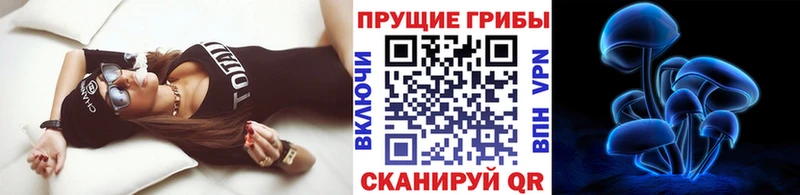 закладка  Фокино  Псилоцибиновые грибы Magic Shrooms 